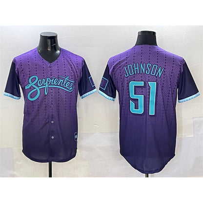 Arizona Diamondbacks #51 Randy Johnson Purple RONA 2025 City Connect Limited Stitched Jersey
