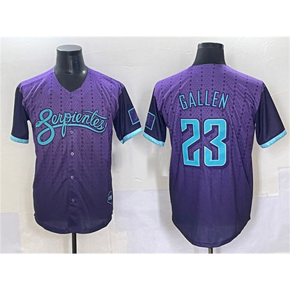 Arizona Diamondbacks #23 Zac Gallen Purple RONA 2025 City Connect Limited Stitched Jersey