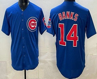 Chicago Cubs #14 Ernie Banks Blue RONA Limited Jersey