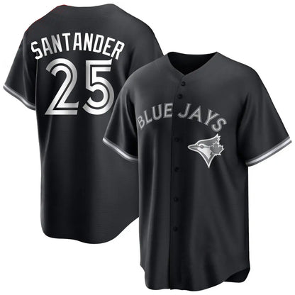 Toronto Blue Jays #25 Anthony Santander Player Black City Connect Limited Stitched Baseball Jerseys