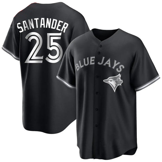 Toronto Blue Jays #25 Anthony Santander Player Black City Connect Limited Stitched Baseball Jerseys