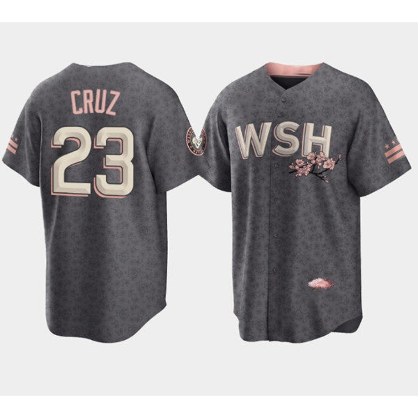 Washington Nationals #23 Nelson Cruz 2022 Grey RONA City Connect Cherry Blossom Cool Base Stitched Jersey