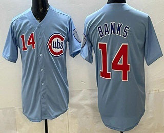 Chicago Cubs #14 Ernie Banks Baby Blue RONA Limited Jersey