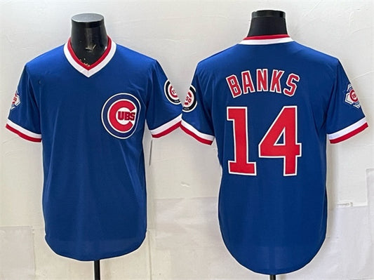 Chicago Cubs #14 Ernie Banks Royal RONA 150th Anniversary Throwback Vapor Limited Stitched Jersey